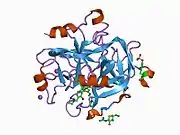 1d3d: CRYSTAL STRUCTURE OF HUMAN ALPHA THROMBIN IN COMPLEX WITH BENZOTHIOPHENE INHIBITOR 4