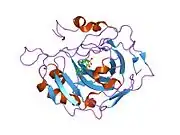 1i91: CARBONIC ANHYDRASE II COMPLEXED WITH AL-6619 2H-THIENO[3,2-E]-1,2-THIAZINE-6-SULFONAMIDE, 2-(3-HYDROXYPHENYL)-3-(4-MORPHOLINYL)-, 1,1-DIOXIDE