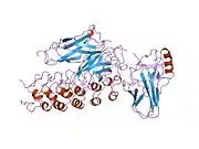 1ikn: IKAPPABALPHA/NF-KAPPAB COMPLEX