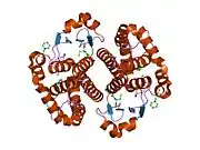 1kbn: Glutathione transferase mutant