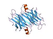 1thc: CRYSTAL STRUCTURE DETERMINATION AT 2.3A OF HUMAN TRANSTHYRETIN-3',5'-DIBROMO-2',4,4',6-TETRA-HYDROXYAURONE COMPLEX