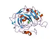 1ttm: Human carbonic anhydrase II complexed with 667-coumate