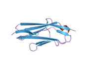 1u2h: X-ray Structure of the N-terminally truncated human APEP-1