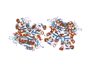 1w4r: STRUCTURE OF A TYPE II THYMIDINE KINASE WITH BOUND DTTP