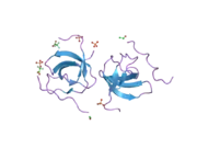 1w70: SH3 DOMAIN OF P40PHOX COMPLEXED WITH C-TERMINAL POLYPROLINE REGION OF P47PHOX