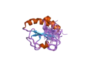 1x5c: The solution structure of the second thioredoxin-like domain of human Protein disulfide-isomerase