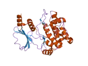 1yhv: Crystal Structure of PAK1 kinase domain with two point mutations (K299R, T423E)