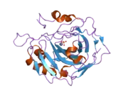 1yo1: Proton Transfer from His200 in Human Carbonic Anhydrase II