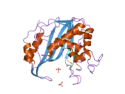 1ypv: Structure of human thymidylate synthase at low salt conditions