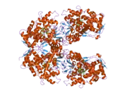 1z10: Crystal Structure of Human Microsomal P450 2A6 with Coumarin Bound