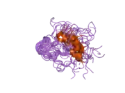 1z6w: Human Lactoferricin