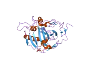 1z97: Human Carbonic Anhydrase III: Structural and Kinetic Study of Catalysis and Proton Transfer.