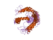 1z9i: A Structural Model for the Membrane-Bound Form of the Juxtamembrane Domain of the Epidermal Growth Factor Receptor