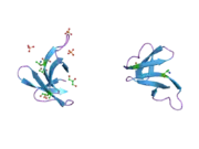 1zmi: Crystal structure of human alpha_defensin-2 (variant GLY16->D-ALA), P 32 2 1 space group )