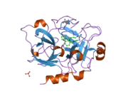 1ztk: Crystal Structure of the Catalytic Domain of Coagulation Factor XI in Complex with 2-(5-Amino-6-oxo-2-m-tolyl-6H-pyrimidin-1-yl)-N-[4-guanidino-1-(thiazole-2-carbonyl)-butyl]-acetamide