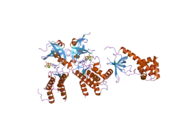 2a19: PKR kinase domain- eIF2alpha- AMP-PNP complex.