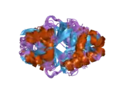 2a24: HADDOCK Structure of HIF-2a/ARNT PAS-B Heterodimer