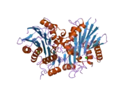 2a8j: Crystal Structure of human Taspase1 (acivated form)