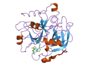 2anm: Ternary complex of an orally active thrombin inhibitor with human thrombin and a c-terminal hirudin derived exo-sit inhibitor