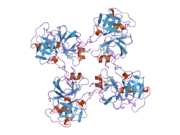 2bdh: Human Kallikrein 4 complex with zinc and p-aminobenzamidine