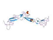 2box: EGF DOMAINS 1,2,5 OF HUMAN EMR2, A 7-TM IMMUNE SYSTEM MOLECULE, IN COMPLEX WITH STRONTIUM.