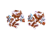 2c3n: HUMAN GLUTATHIONE-S-TRANSFERASE T1-1, APO FORM