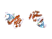 2c6e: AURORA A KINASE ACTIVATED MUTANT (T287D) IN COMPLEX WITH A 5-AMINOPYRIMIDINYL QUINAZOLINE INHIBITOR