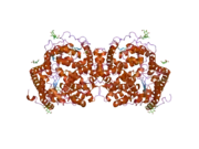 2c6f: STRUCTURE OF HUMAN SOMATIC ANGIONTENSIN-I CONVERTING ENZYME N DOMAIN