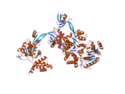 2c9o: 3D STRUCTURE OF THE HUMAN RUVB-LIKE HELICASE RUVBL1