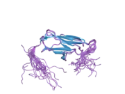 2cr6: Solution structure of the Ig domain (2998-3100) of human obscurin