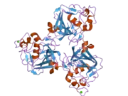 2d39: Trivalent Recognition Unit of Innate Immunity System; Crystal Structure of human M-ficolin Fibrinogen-like Domain