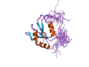 2db1: Solution structure of the RNA binding domain in heterogeneous nuclear ribonucleoprotein F homolog