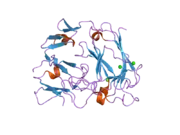 2ddu: Crystal structure of the third repeat domain of reelin