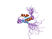 2dgp: Solution structure of the N-terminal RNA binding domain in Bruno-like 4 RNA-binding protein