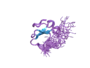 2djy: Solution structure of Smurf2 WW3 domain-Smad7 PY peptide complex