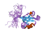 2dls: Solution structure of the PDZ domain of human Rho guanine nucleotide exchange factor 11