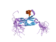 2dmk: The solution structure of the FN3 domain of human Midline 2 protein