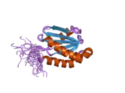 2dmw: Solution structure of the LONGIN domain of Synaptobrevin-like protein 1