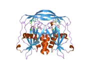 2dsc: Crystal structure of human ADP-ribose pyrophosphatase NUDT5 in complex with magnesium and ADP-ribose