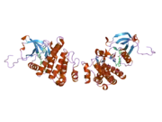 2e2b: Crystal structure of the c-Abl kinase domain in complex with INNO-406