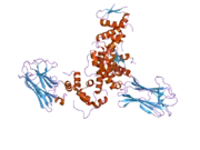 2e32: Structural basis for selection of glycosylated substrate by SCFFbs1 ubiquitin ligase