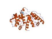 2eyi: Crystal structure of the actin-binding domain of human alpha-actinin 1 at 1.7 Angstrom resolution