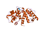 2eyn: Crystal structure of the actin-binding domain of human alpha-actinin 1 at 1.8 Angstrom resolution