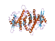 2f7k: Crystal Structure of Human Pyridoxal Kinase