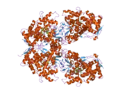 2fdw: Crystal Structure Of Human Microsomal P450 2A6 with the inhibitor (5-(Pyridin-3-yl)furan-2-yl)methanamine bound