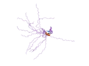 2ffw: Solution structure of the RBCC/TRIM B-box1 domain of human MID1: B-box with a RING