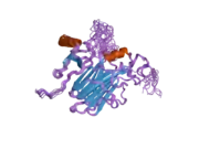 2fin: Solution Structure of the complex between poxvirus-encoded CC chemokine inhibitor vCCI and human MIP-1beta, ensemble structure