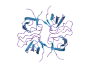 2fpf: Crystal structure of the ib1 sh3 dimer at low resolution