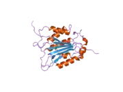 2fqq: Crystal structure of human caspase-1 (Cys285->Ala, Cys362->Ala, Cys364->Ala, Cys397->Ala) in complex with 1-methyl-3-trifluoromethyl-1H-thieno[2,3-c]pyrazole-5-carboxylic acid (2-mercapto-ethyl)-amide