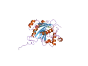 2fyb: Crystal structure of the catalytic domain of the human beta1,4-galactosyltransferase mutant M339H in complex with Mn and UDP-galactose in open conformation